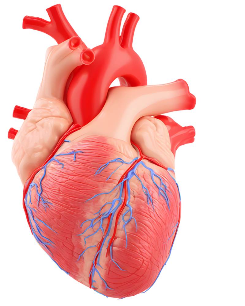 Sem nome (1080 x 1080 px)